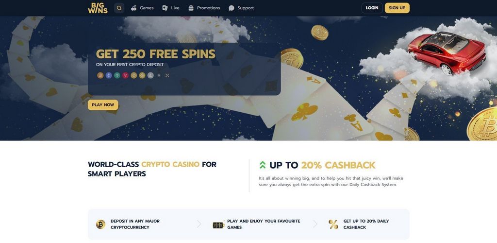 BigWins Casino Site: Player Rankings & Our Verdict